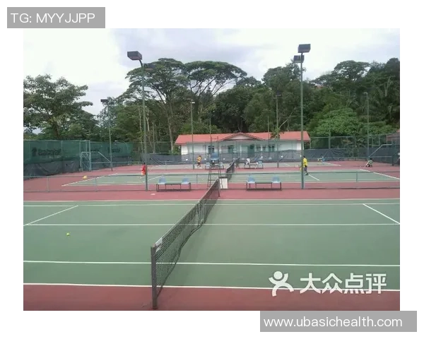 探索BABOLAT品牌的网球装备与运动精神的完美结合之旅 探索BABOLAT品牌的网球装备与运动精神的完美结合之旅