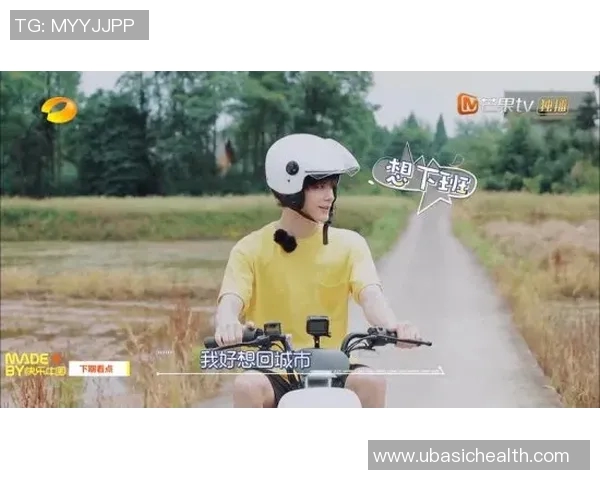 适合露营和野炊的户外炉具推荐及使用技巧分享